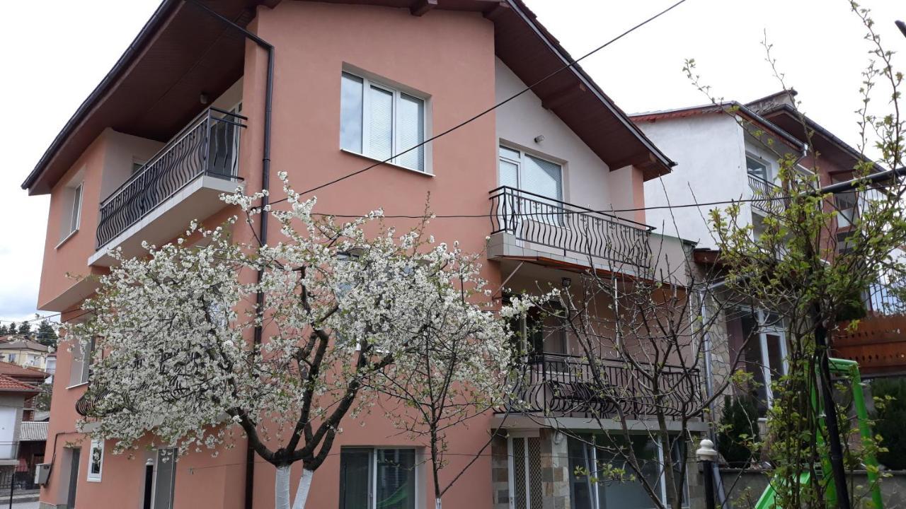 Вила Багрянови Dospat Exterior photo